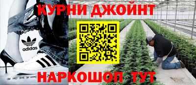 ПСИЛОЦИБИНОВЫЕ ГРИБЫ Кунгур