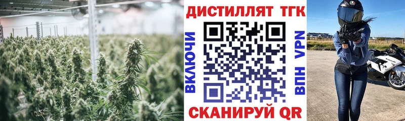 ТГК THC oil  Сыктывкар 