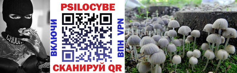 Галлюциногенные грибы GOLDEN TEACHER  купить   кракен сайт  маркетплейс какой сайт  Сыктывкар 