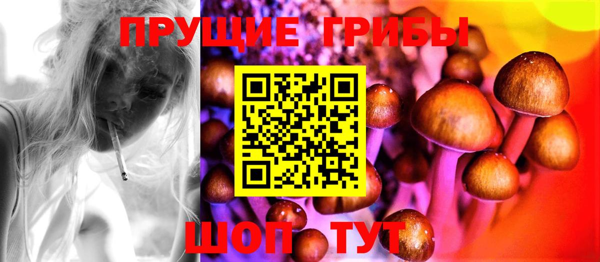 Псилоцибиновые грибы ЛСД Сыктывкар